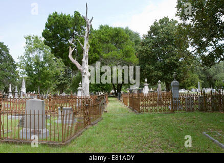 Rangée de terrains familiaux dans Magnolia Cemetery, bordé de clôtures en fer. Banque D'Images