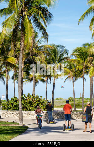 Miami Beach Florida,Ocean Drive,Lummus Park,Serpentine Trail,motards,vélos,équitation,adultes homme hommes,palmiers,vélo,vélo,vélo,équitation,biki Banque D'Images