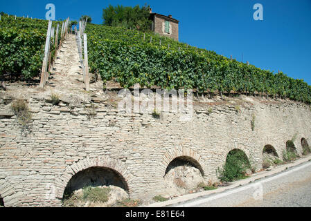 Italie,vignobles du Piémont : Langhe-Roero et Monferrato sur la Liste du patrimoine mondial de l'UNESCO : vignobles de Santo Stefano Belbo Banque D'Images