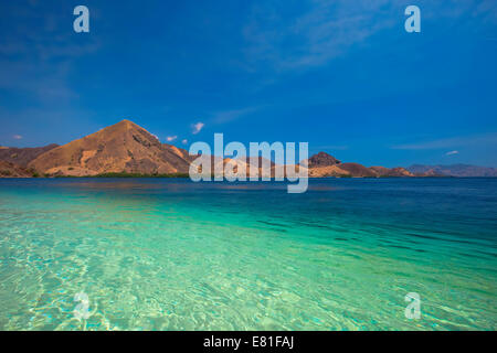 L’île de Komodo Banque D'Images