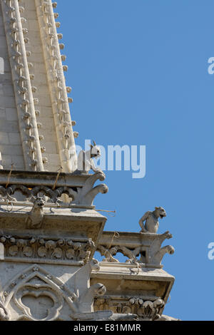 Des créatures mythiques, chimères sur la façade de la Cathédrale Notre Dame, Paris, Île-de-France, France Banque D'Images