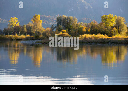 Humeur d'automne avec une vue sur la montagne sur le lac Forggensee près de Füssen, à l'Allgäu, Bavière, Allemagne Banque D'Images