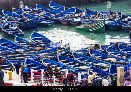 Port avec bateaux de pêche, Marrakech, Marrakech-Tensift-El Haouz, Maroc Banque D'Images