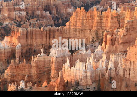 Lever du soleil à l'intérieur de Parc National de Bryce Canyon - Utah - USA Du point de Lever du Soleil Banque D'Images