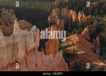 Lever du soleil à l'intérieur de Parc National de Bryce Canyon - Utah - USA Du point de Lever du Soleil Banque D'Images