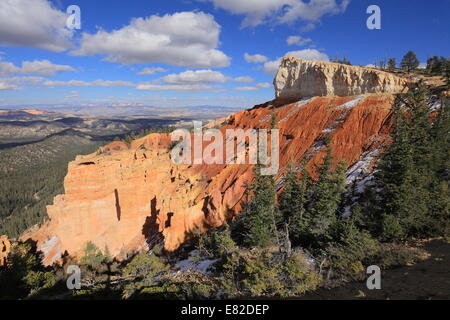 Falaise dans le Parc National de Bryce Canyon - Utah - USA Banque D'Images