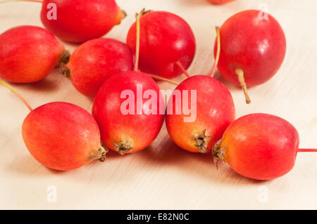 Le crabe (Paradise) pommes sur une planche de bois, l'automne photo Banque D'Images