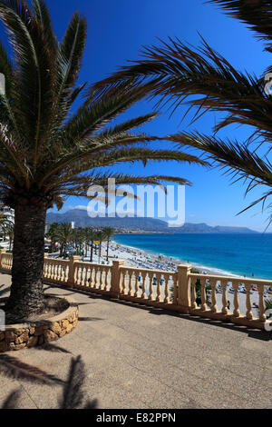 Promenade et plage de galets sur la ville côtière de Alfaz del Pi, Mer Méditerranée, Costa Blanca, Espagne, Europe. Banque D'Images