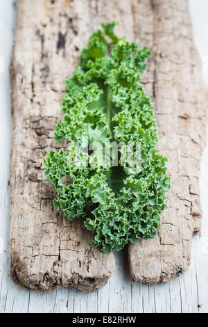 Le chou (Brassica oleracea var. Sabellica L. ). Banque D'Images