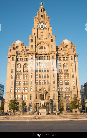 1 e année Royal Liver bâtiment classé, Pier Head, Liverpool, Merseyside, England, UK Banque D'Images