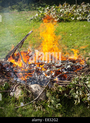 Les déchets dans le jardin, feu brûler illégal de refuser. Banque D'Images