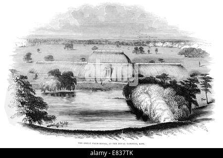 Le Grand Palm house Royal Botanic Gardens Kew 1844 London Borough of Richmond upon Thames Banque D'Images
