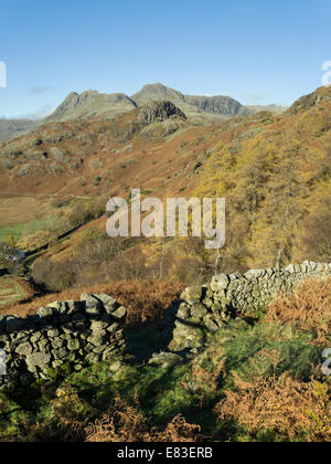 Écart dans le vieux mur de pierre sèche avec la couleur d'automne et Langdale Pikes dans la distance, Lake District, Cumbria, Angleterre, Royaume-Uni Banque D'Images