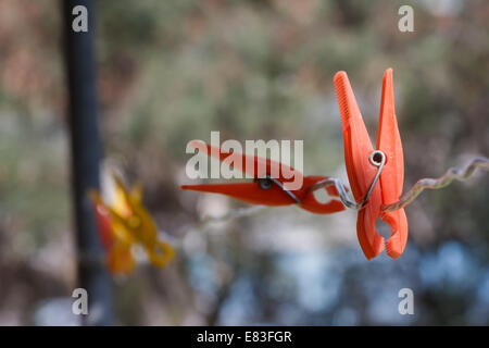 Plusieurs pinces à linge en plastique Banque D'Images