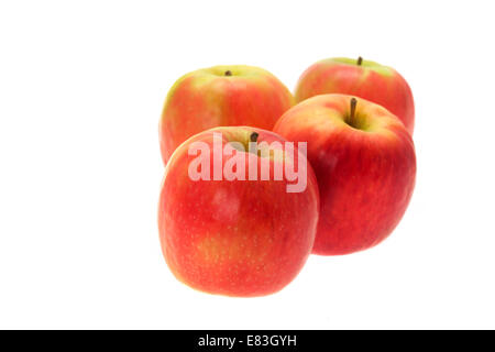 4 pommes rouges - Dame Rose variété. Studio photo avec un fond blanc Banque D'Images