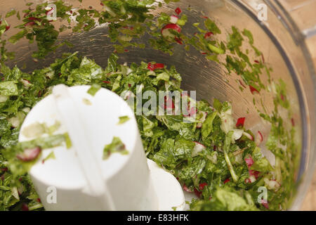 Les radis et les verts dans blender Raphanus sativus 'Scarlet Globe' Banque D'Images