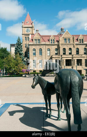 Elk203-6151v Canada, Alberta, Calgary, le centre-ville, l'hôtel de ville avec des sculptures de chevaux Banque D'Images
