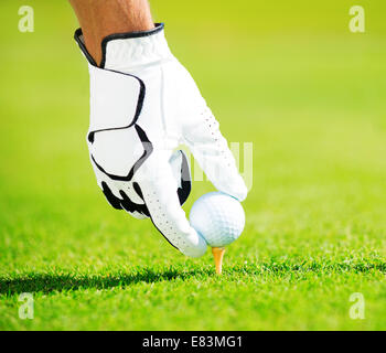 Plaçant l'homme sur la balle de golf Tee, Close up Detail Banque D'Images