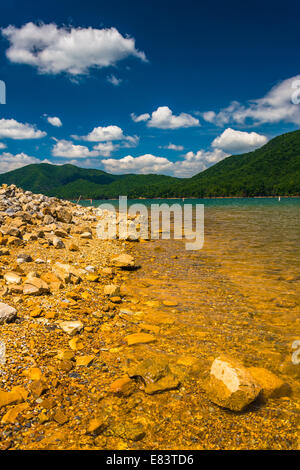 La côte rocheuse de Watauga Lake, dans la région de Cherokee National Forest, Tennessee. Banque D'Images