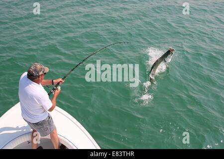 Avril 22, 2009 - Pas, FL, USA - 2. Légende : Frank Smith un tarpon au début de la saison des combats. (Crédit Image : © St. Petersburg Times/Zuma sur le fil) Banque D'Images