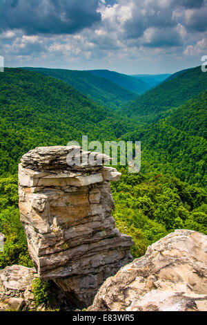 Vue sur le Canyon de Blackwater Lindy Point, parc d'état de Blackwater Falls, West Virginia. Banque D'Images