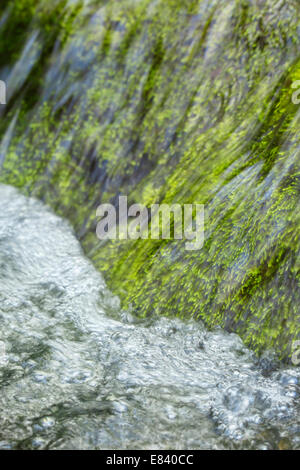 Bulles dans un ruisseau. Banque D'Images