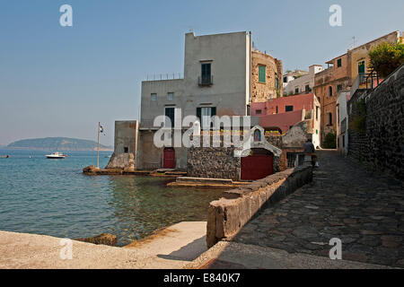 Maisons typiques, Ischia Ponte, Ischia, Golfe de Naples, Italie Banque D'Images