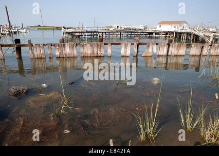 Des quais en bois et jeté des casiers à homard dans l'eau peu profonde, la baie de Chesapeake, Virginia, USA L'île de Tangier Banque D'Images