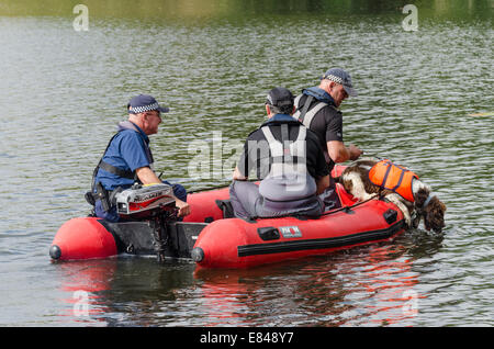 Londres, Royaume-Uni. Sep 30, 2014. La police recherche dans le lac d'Osterley Park, à l'ouest de Londres, pour l'adolescent disparu Alice brut. Une recherche de l'équipe de chien de Powys, Pays de Galles, qui a été utilisé pour rechercher des April Jones a été portée à la page de recherche pour Alice. Banque D'Images