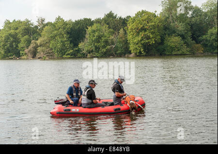 Londres, Royaume-Uni. Sep 30, 2014. La police recherche dans le lac d'Osterley Park, à l'ouest de Londres, pour l'adolescent disparu Alice brut. Une recherche de l'équipe de chien de Powys, Pays de Galles, qui a été utilisé pour rechercher des April Jones a été portée à la page de recherche pour Alice. Banque D'Images