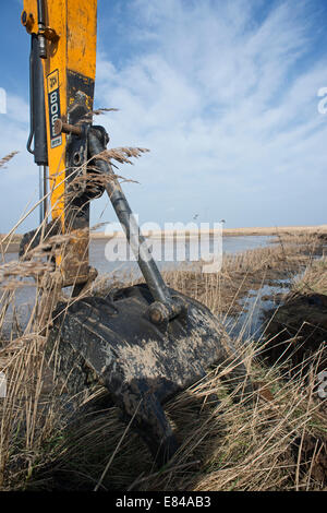 Gratter Création et maintenance sur le CLAJ / Salthouse Norfolk Réserver Trust la faune Banque D'Images