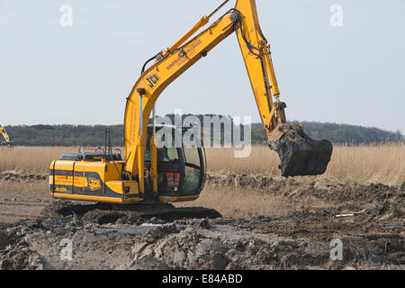 Gratter Création et maintenance sur le CLAJ / Salthouse Norfolk Réserver Trust la faune Banque D'Images