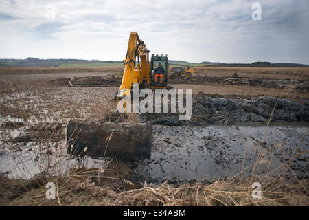 Gratter Création et maintenance sur le CLAJ / Salthouse Norfolk Réserver Trust la faune Banque D'Images