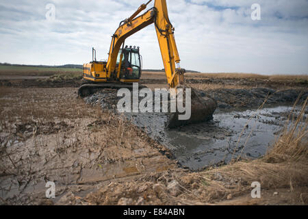 Gratter Création et maintenance sur le CLAJ / Salthouse Norfolk Réserver Trust la faune Banque D'Images