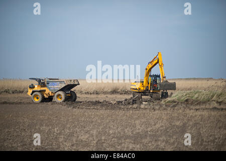 Gratter Création et maintenance sur le CLAJ / Salthouse Norfolk Réserver Trust la faune Banque D'Images