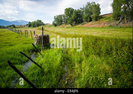 De riches prairies le long de la rivière Arkansas, au-delà des Montagnes Rocheuses du Colorado, USA, Banque D'Images