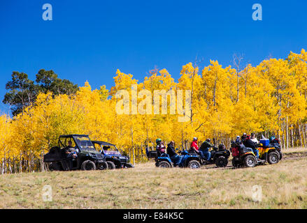 Les touristes sur les VTT Profitez d'automne feuillage & couleurs d'automne, Aspen Ridge, le centre du Colorado, USA Banque D'Images