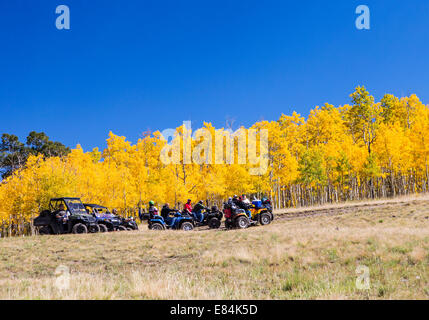 Les touristes sur les VTT Profitez d'automne feuillage & couleurs d'automne, Aspen Ridge, le centre du Colorado, USA Banque D'Images