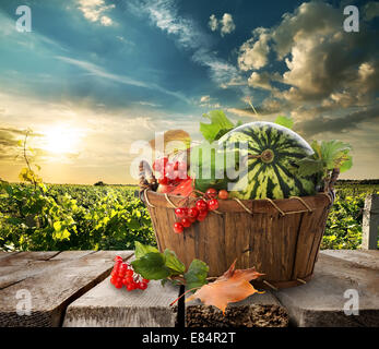 Watermelon dans un panier sur une table en bois Banque D'Images