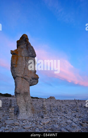 Les cheminées de calcaire appelé Rauks à Langhammershammer par sunset Faroe, Gotland, Suède, Scandinavie Banque D'Images