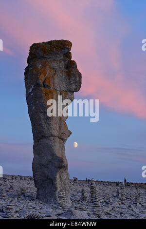 Les cheminées de calcaire appelé Rauks à Langhammershammer par sunset Faroe, Gotland, Suède, Scandinavie Banque D'Images