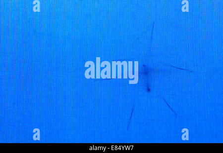 Ombre d'un Crane fly reposant sur un belvédère bleu mur. Banque D'Images