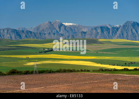 Vue d'ensemble des terres agricoles de la montagnes Boland en Afrique du Sud de la province. Banque D'Images