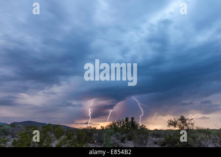 Les nuages de tempête et d'éclairs à l'Étang des puits dans le parc national Big Bend. Banque D'Images