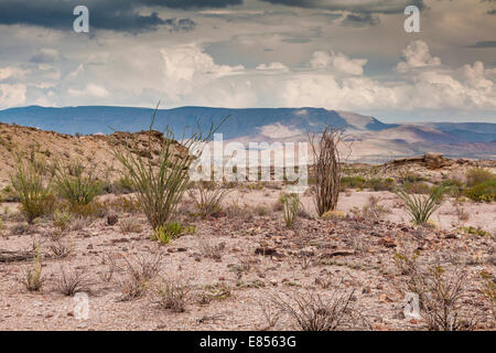 Les nuages de tempête plus de désert dans le parc national Big Bend. Banque D'Images