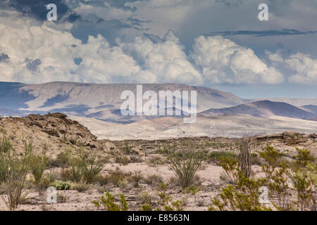 Les nuages de tempête plus de désert dans le parc national Big Bend. Banque D'Images