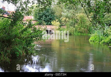 Une vue de la rivière Bure en aval de l'usine désaffectée à Blickling, près de Aylsham, Norfolk, Angleterre, Royaume-Uni. Banque D'Images