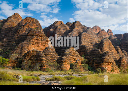 Bungle Bungles, tours de grès en forme de ruche, le Parc National de Purnululu, Site du patrimoine mondial de l'UNESCO, de l'Est Kimberleys Banque D'Images