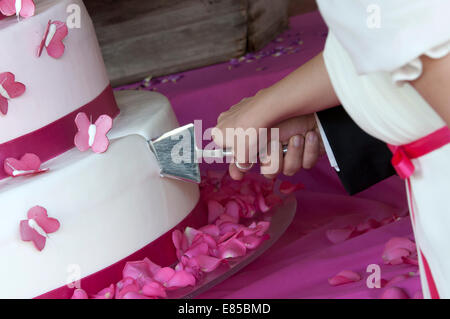 Les mariés couper le gâteau de mariage Banque D'Images