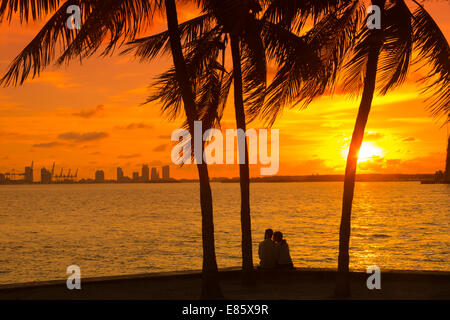 COUPLE ASSIS SOUS PALM TREES PORT DE MIAMI BEACH DE MIAMI SKYLINE BISCAYNE BAY MIAMI FLORIDA USA Banque D'Images